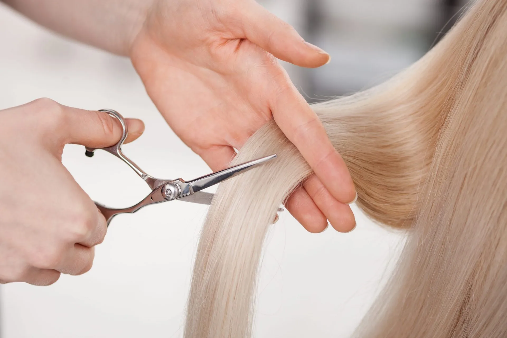 Woman Hair Cut Chop Shop Tijuana