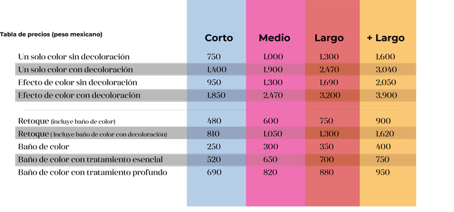 Hair Coloring Cost Calculator Hair Salon Price Matrix